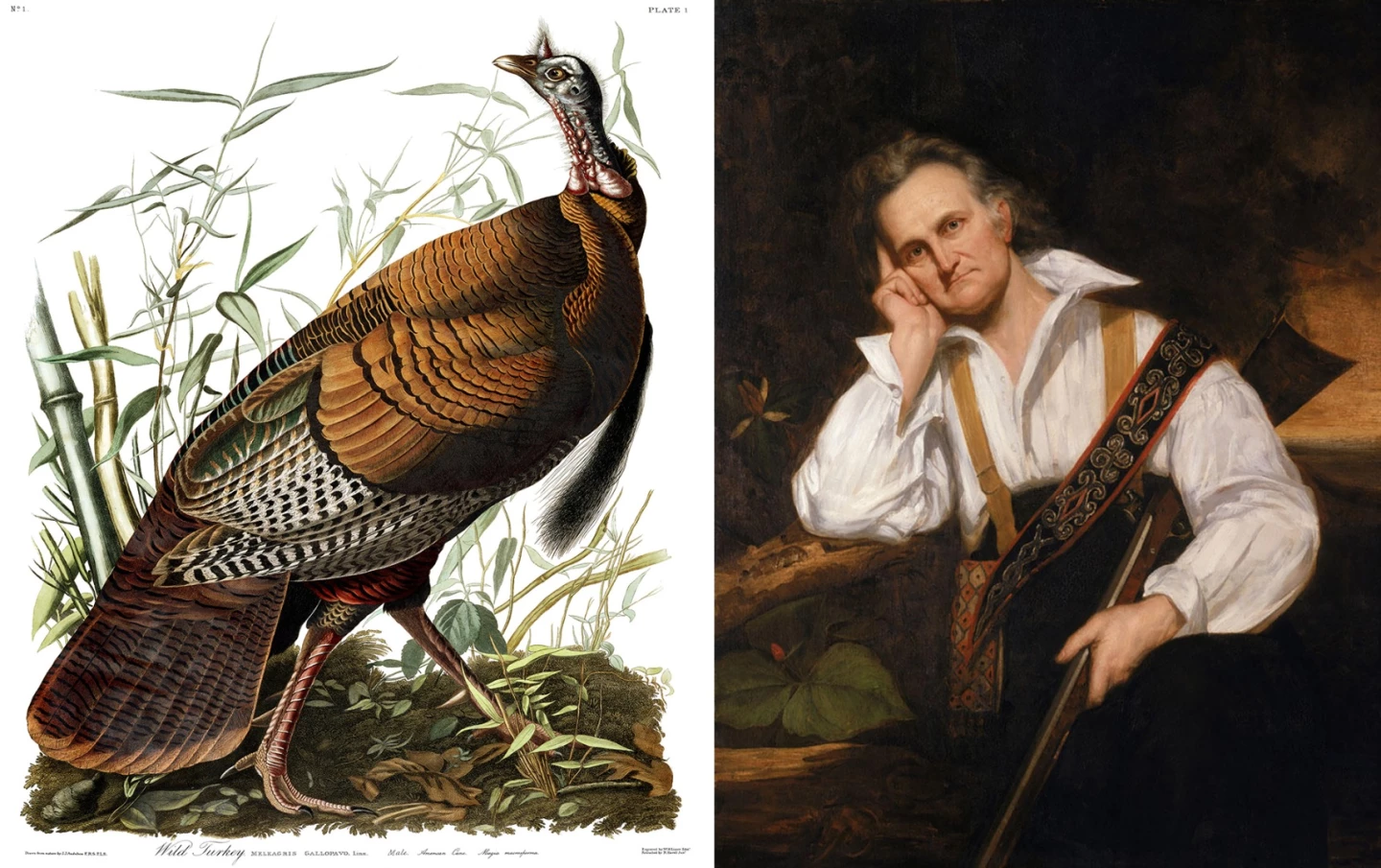 This Aquatint Engraving of a Male Turkey by John James Audubon sold for $190,500 at Arader Galleries on September 24, 2017
