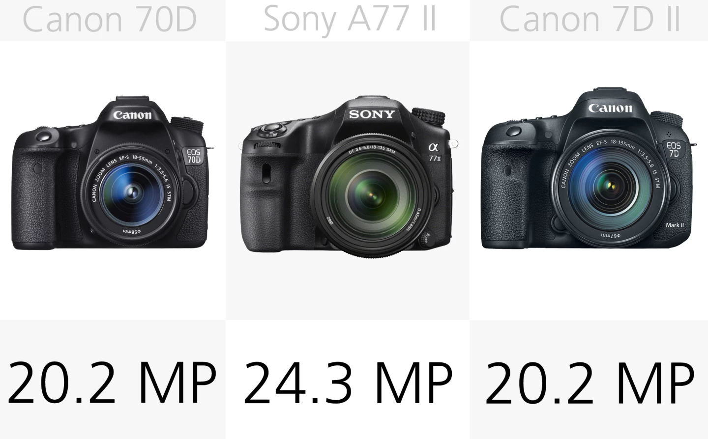 None of thses DSLRs have resolutions that will produce monstrously large computer-crippling files
