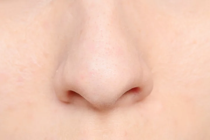 Nasal septum cartilage cells can easily be coaxed into reproducing, providing a patient with their own source of replacement joint cartilage (Photo: Shutterstock)