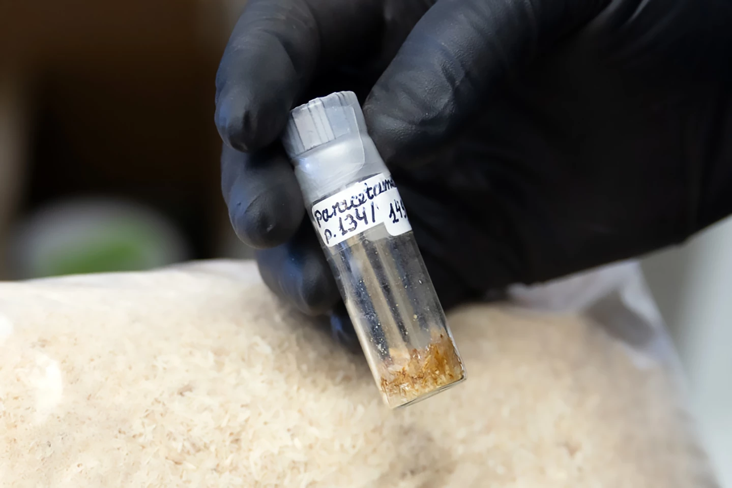 Crystalized paracetamol produced from poplar biomass