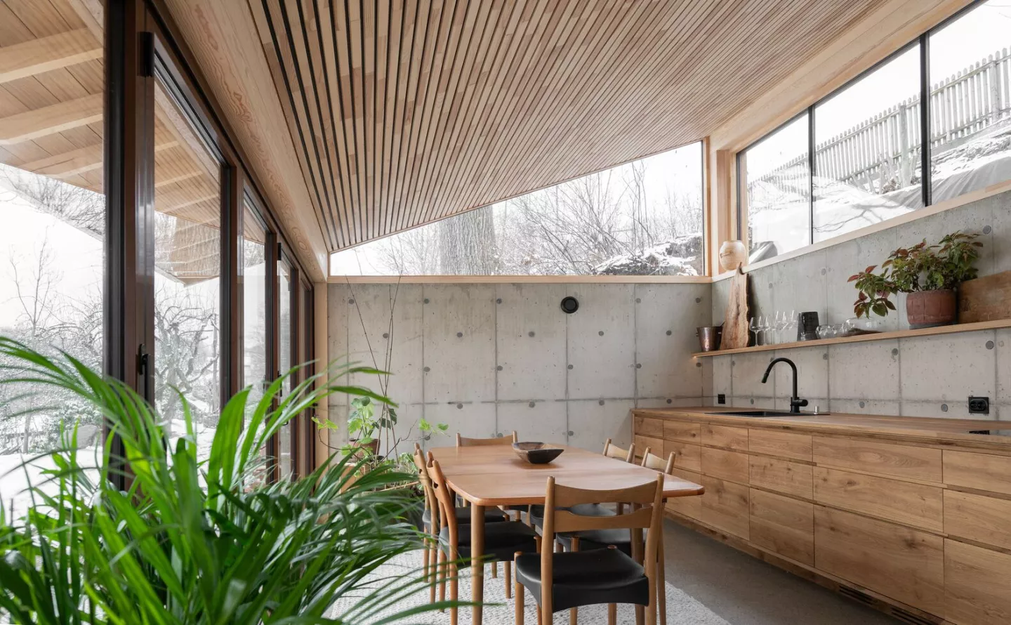 Where industrial meets organic: concrete walls anchor the kitchen, while timber adds warmth and texture
