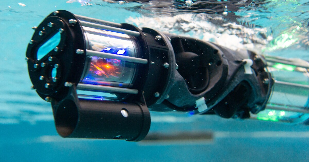 Submersible snake-inspired robotic can examine ships and infrastructure