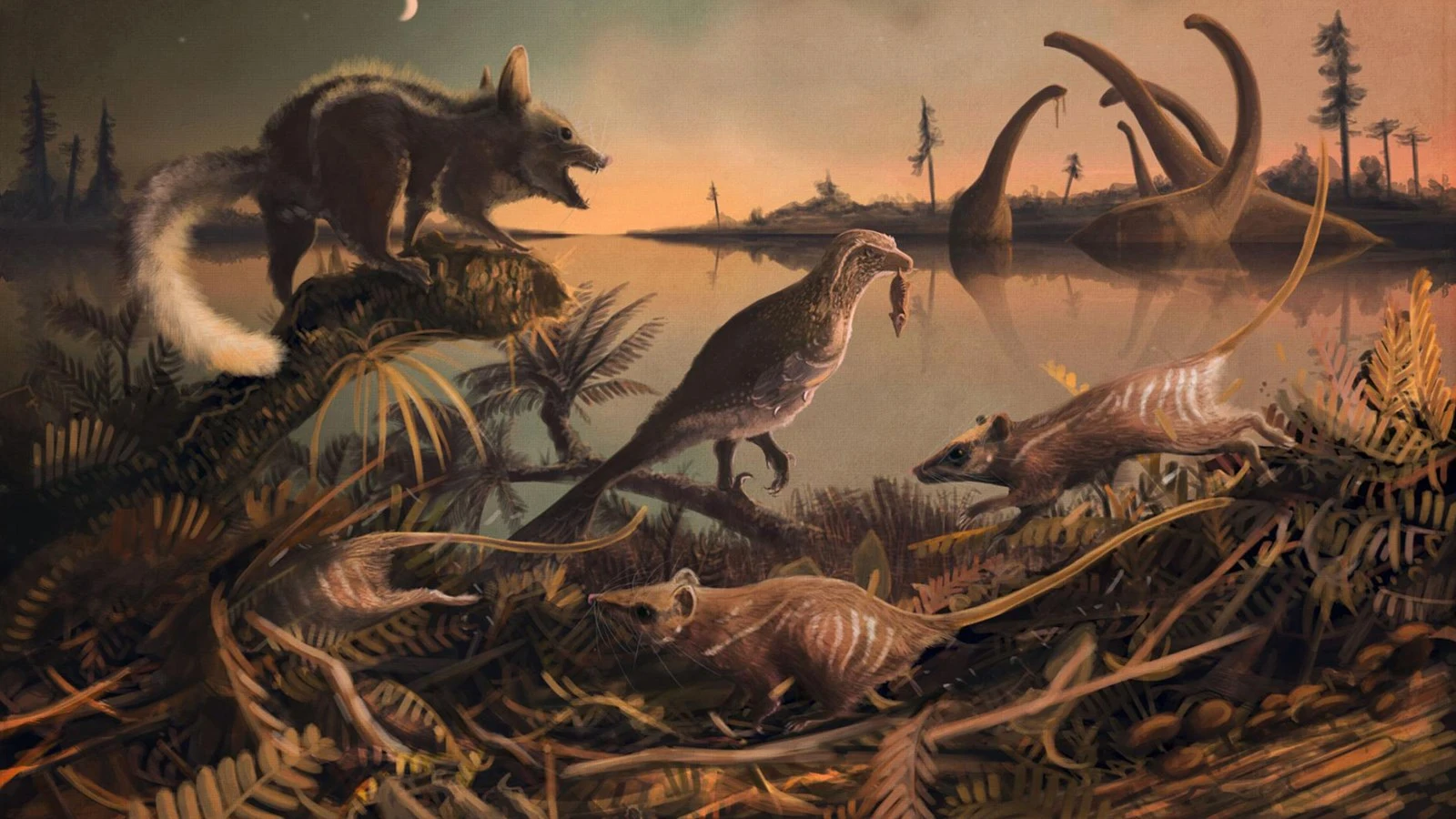 An artist's impression of the newly discovered species, which may be among the oldest ancestors of the mammaianl line that includes humans