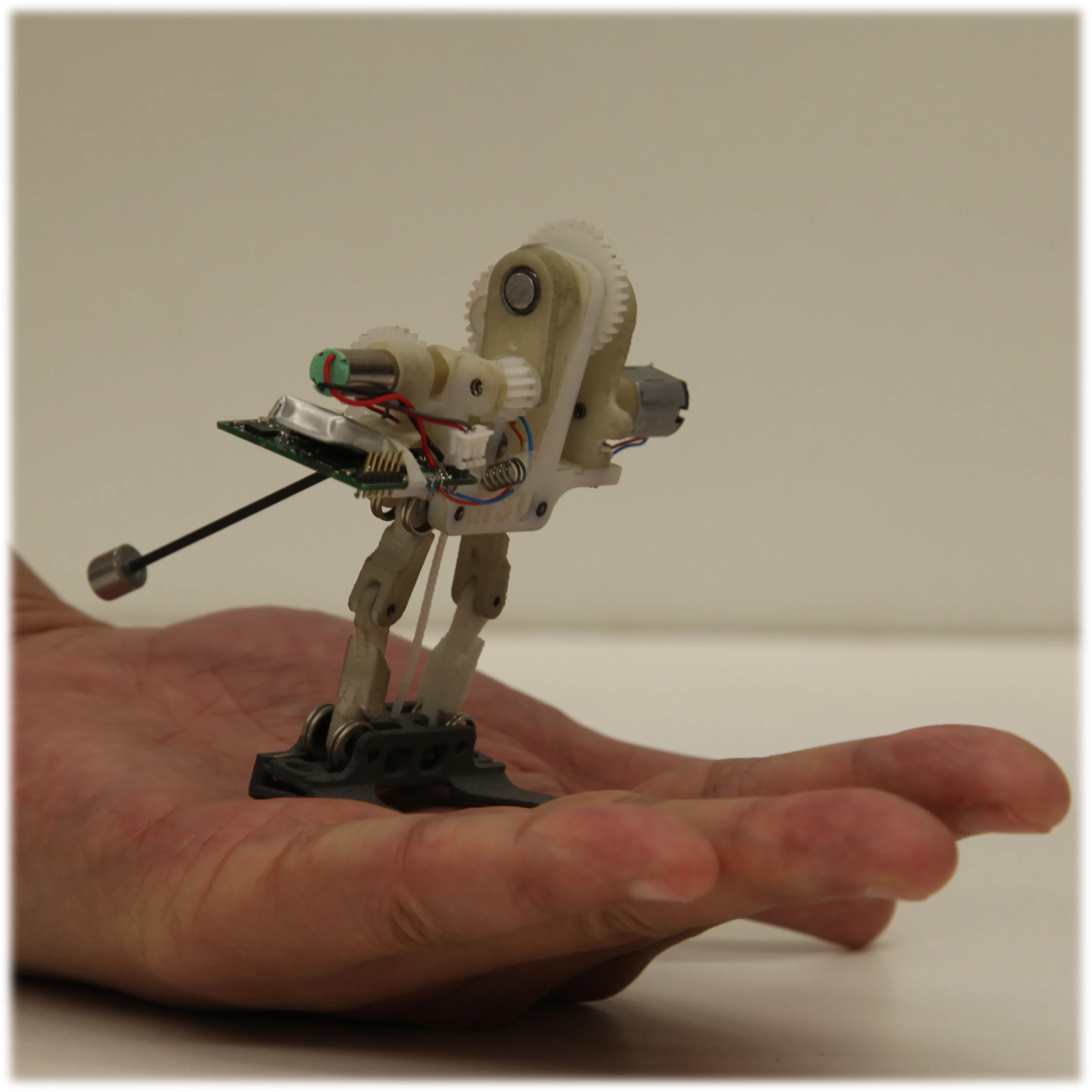 The tailbot, a running, jumping mobile sensor that can maneuver in mid-air with its tail (Photo: Jianguo Zhao)