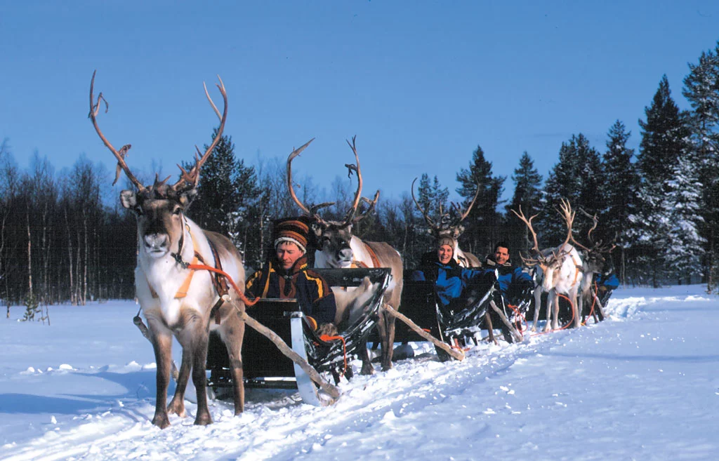 Village activities include, cross-country skiing, husky safaris, reindeer sledge, snowmobile hire and ice fishing (image from Hotel Kakslauttanen)
