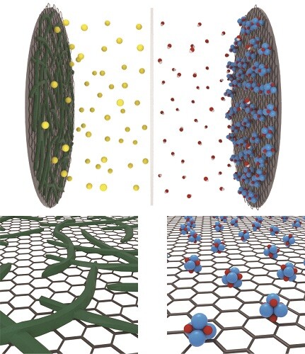 The anode of the hybrid aqueous energy storage device was made with polymer chain materials based on graphene, while the cathode was nickel oxide nanoparticles on graphene