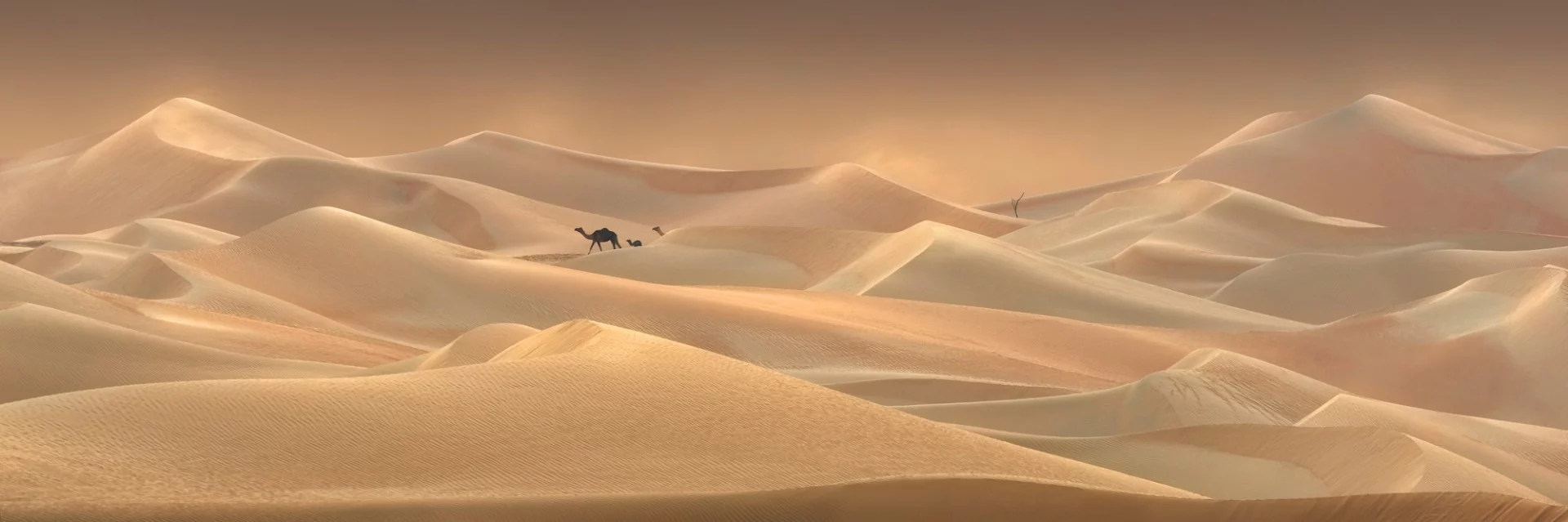 Rub Al Khali (Empty Quarter), United Arab Emirates. From the top 101 entries