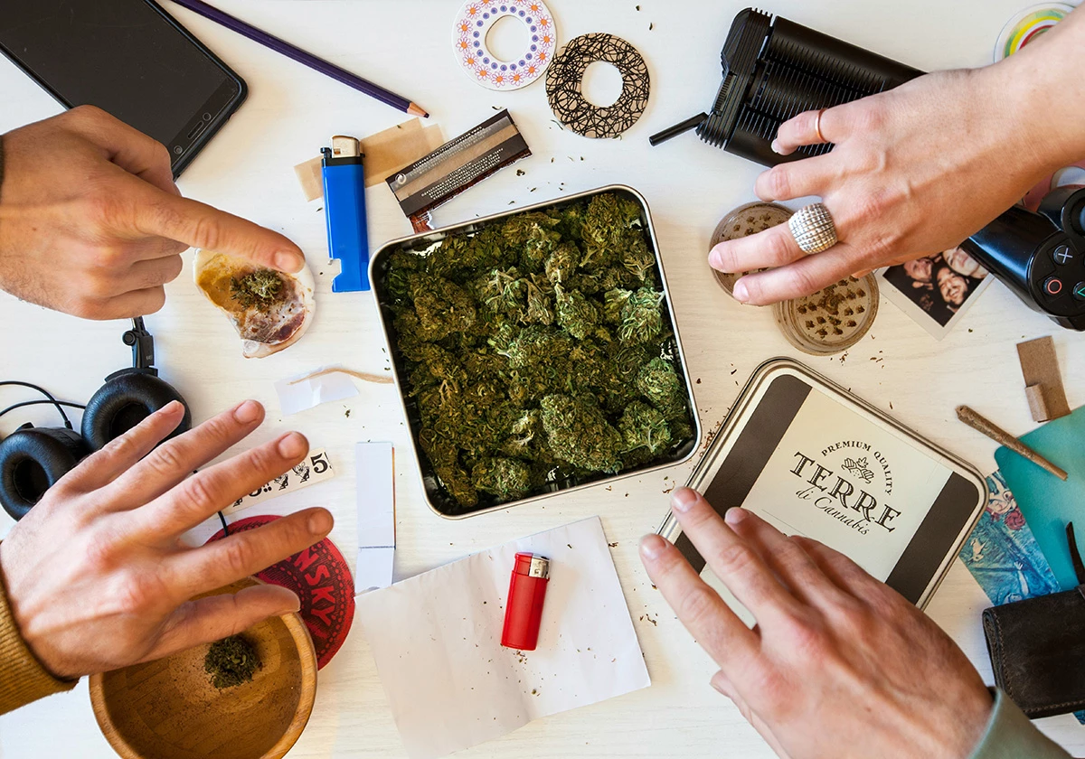 Understanding the molecular systems that exist between our brains and our use of cannabis could help identify people who might be more susceptible to substance use disorder early