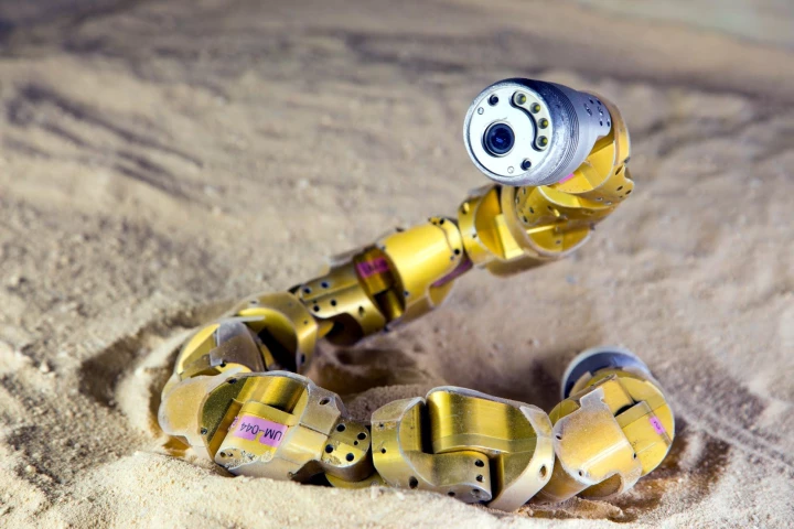 Carnegie Mellon's snake robot – now better able to ascend sandy slopes (Photo: CMU)
