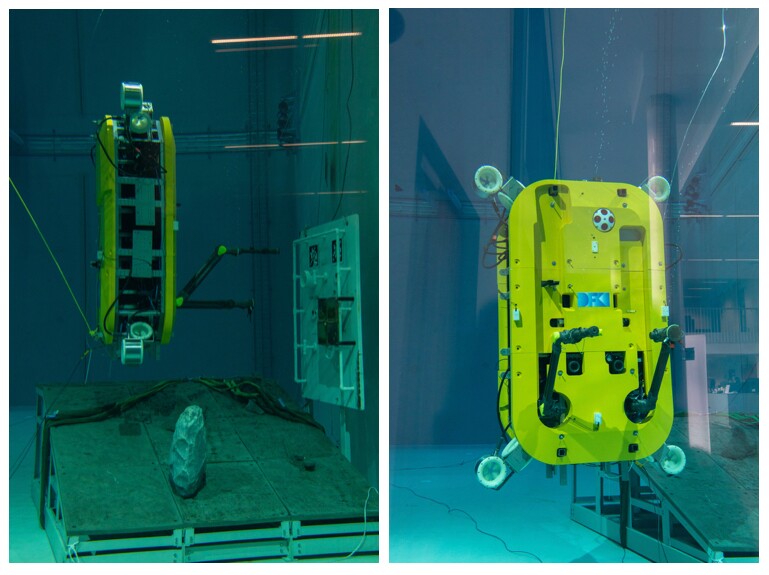 The Cuttlefish goes vertical to manipulate an underwater lever