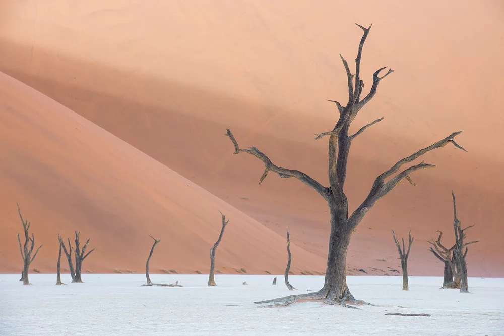 Winner of 3rd place in the Professional Nature category: Jirawat Plekhongthu - Namib Desert. The Deadvlei, Namib-Naukluft Park in Namibia
