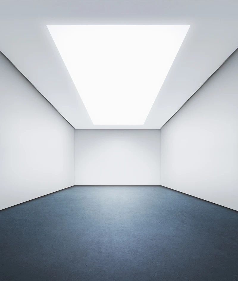 OneSpace is a made-to-measure panel that can replace a ceiling