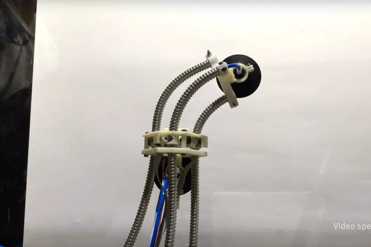 LEeCH: a sucker for walls