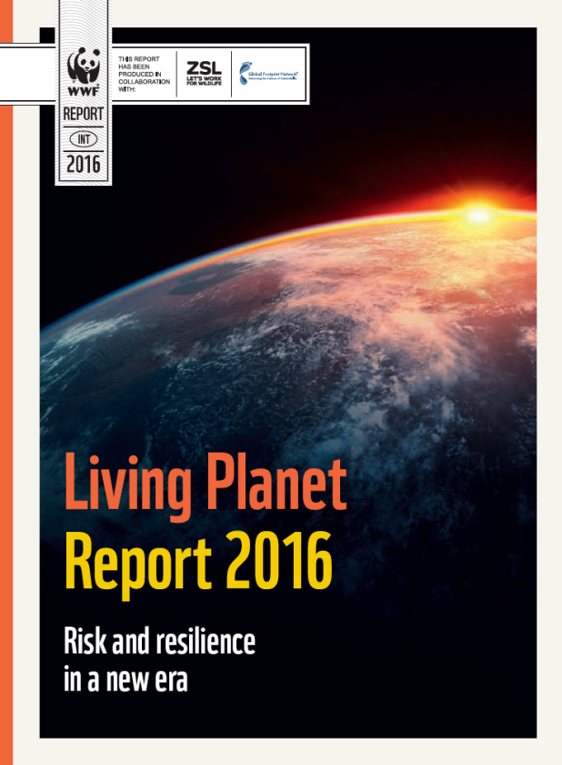 The report paints a dire picture, but offers hope and strategies for reversing a downward trend