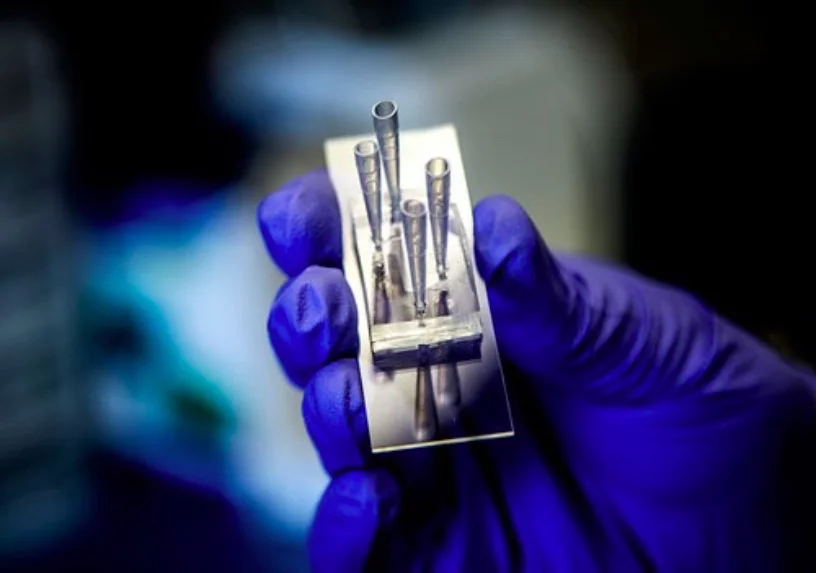 The device simulates the manner in which medications flow through and are processed by the kidneys