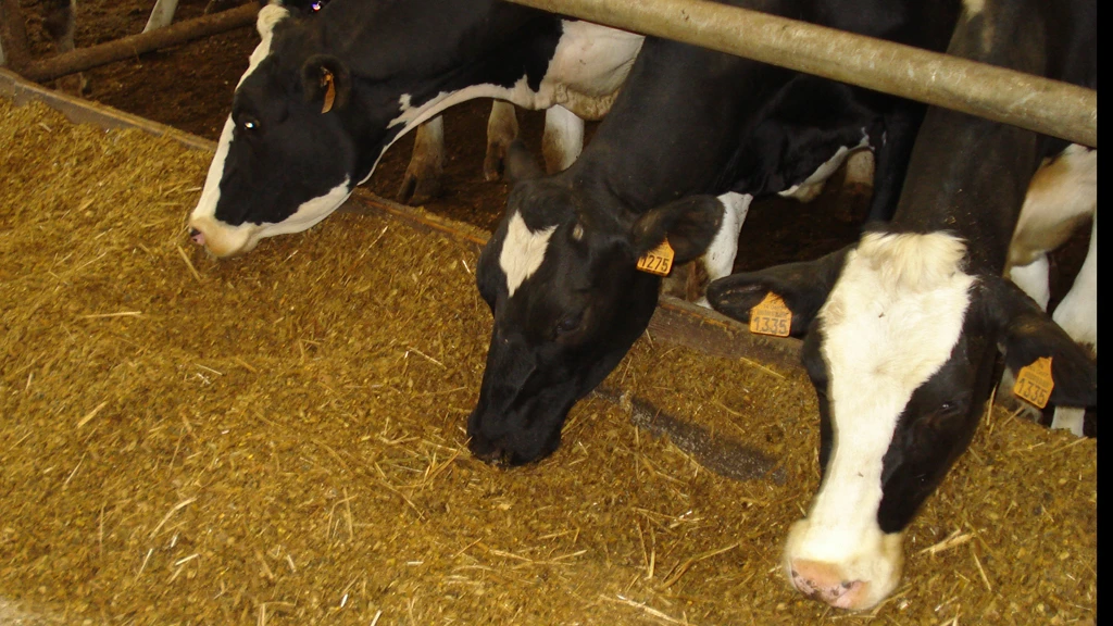 Lab-grown meat offers significant environmental benefits over conventional meat farming techniques, according to a new study