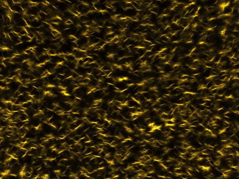 A close-up of a sample of a "temporary" hydrogel