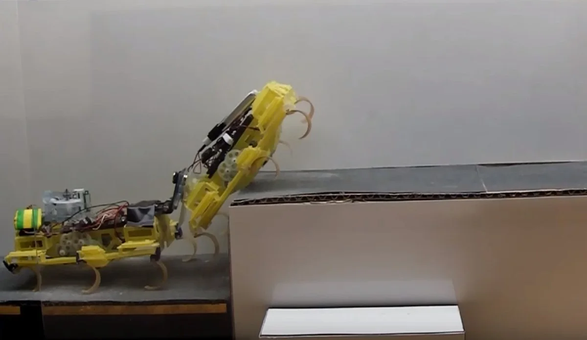 The VelociRoACH gets by with a little help from its friend