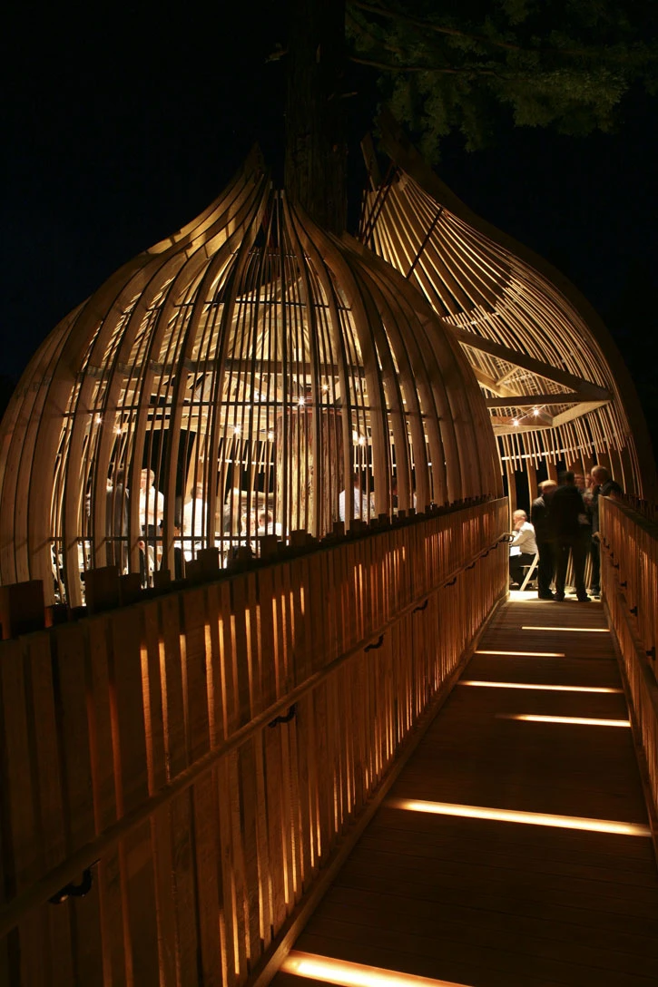 The circular plan opens on the axis to accommodate the entrance and playful tree-top walkway