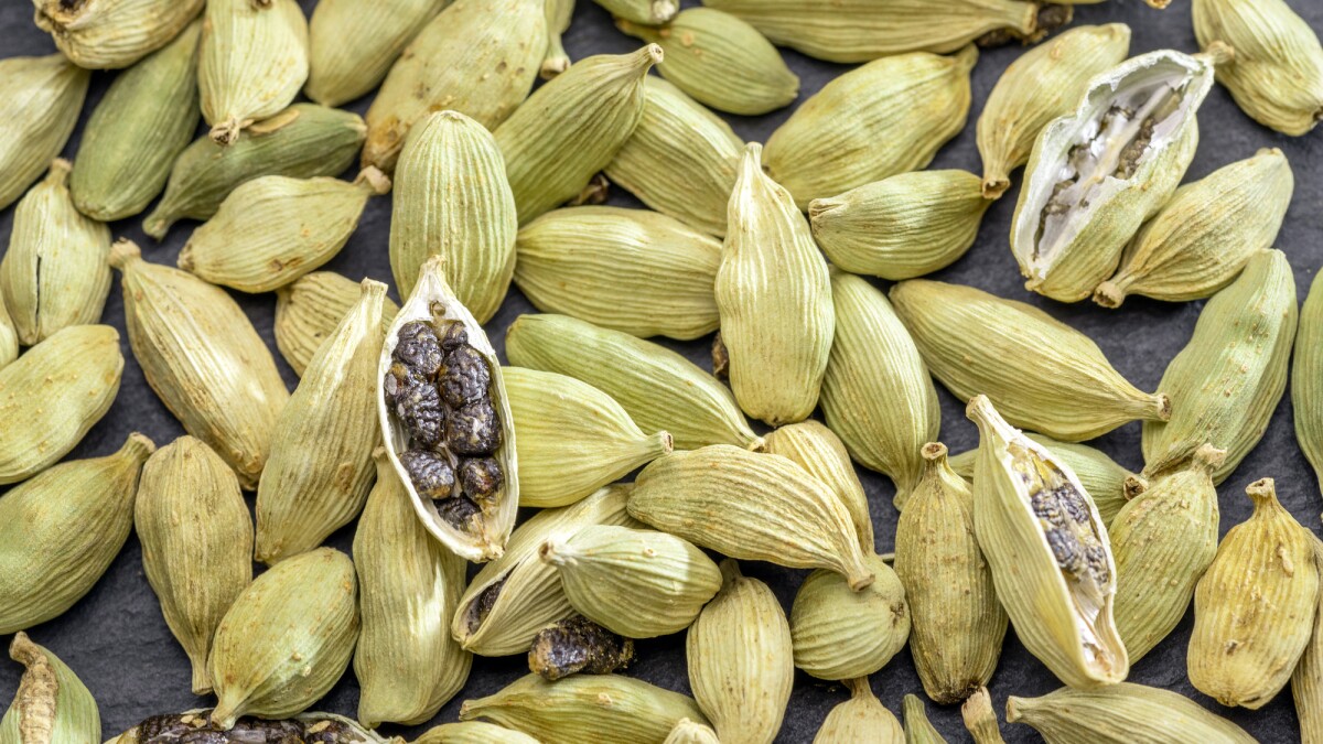 Cardamom extract shows promise as a natural antiviral treatment
