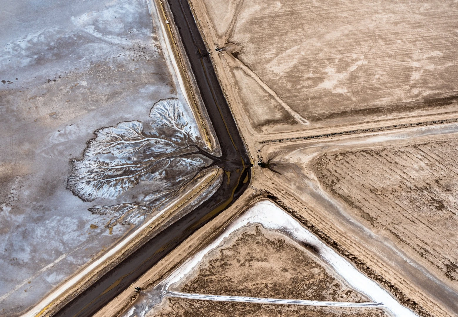 Natural lines