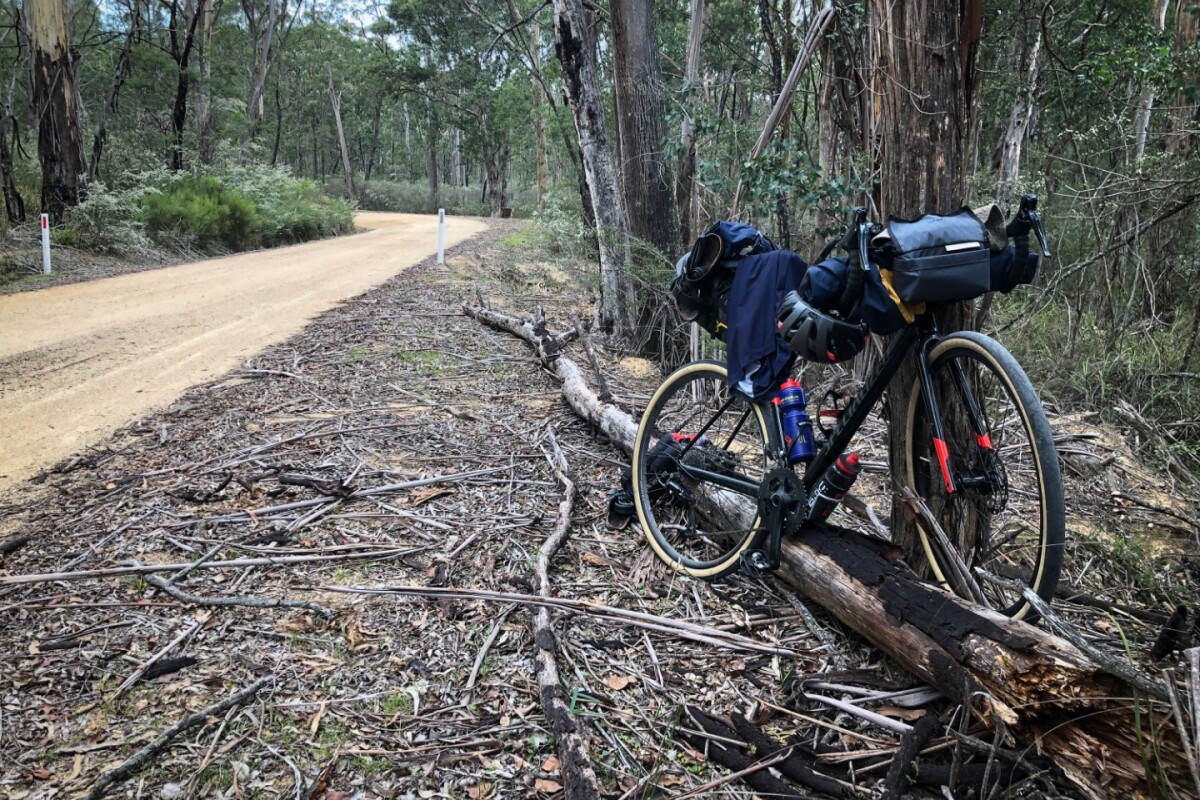 Bikepacking And Bush Bashing Through Lush Forest On Australia S