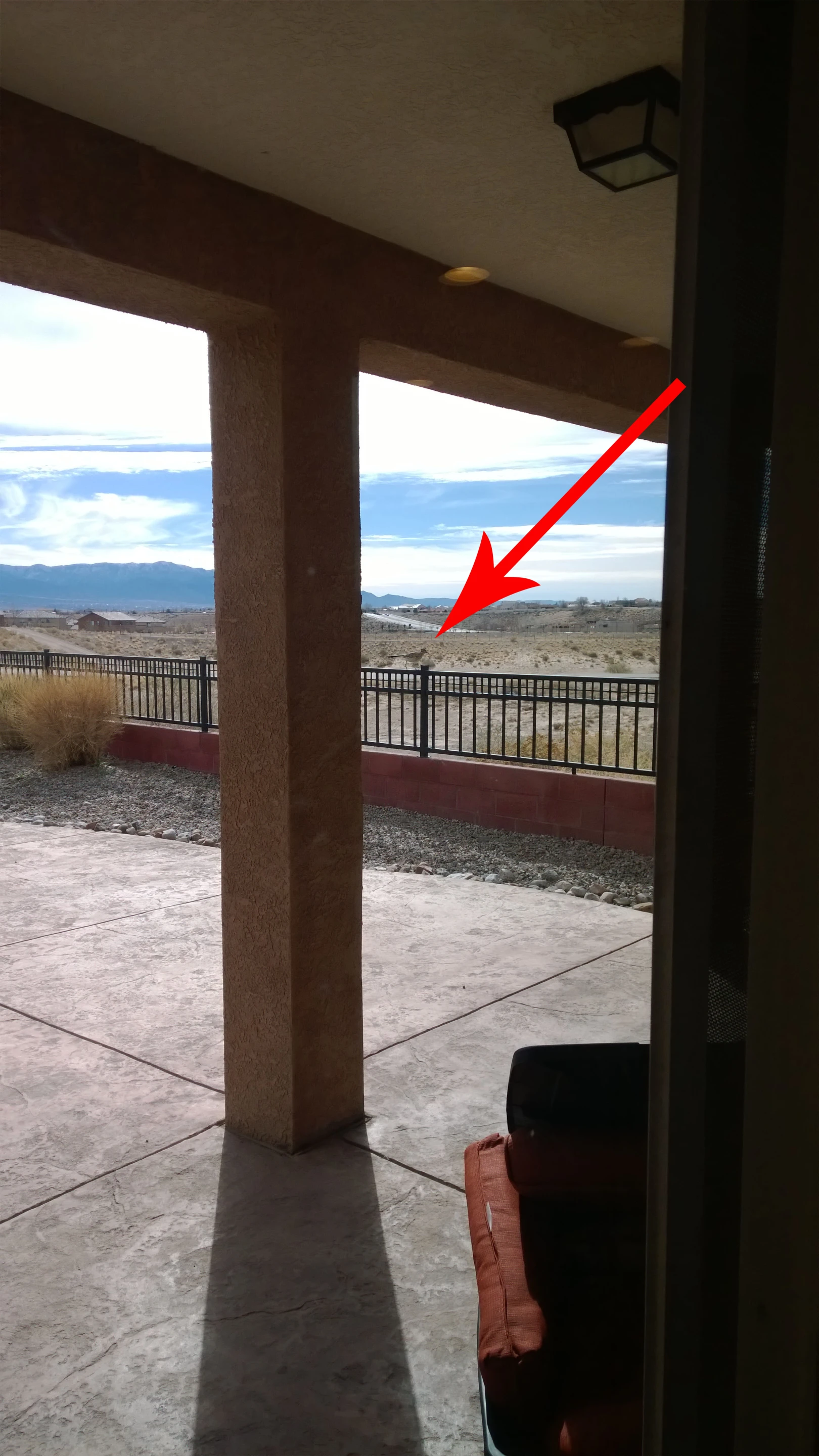 ... some perspective on just how much we cropped this shot to frame the roadrunner