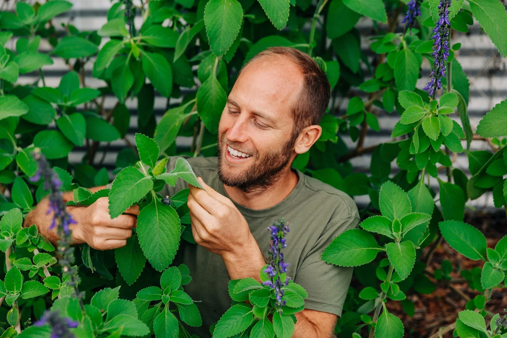Greenfield's "toilet roll" is a mint plant with, he assures us, very soft leaves