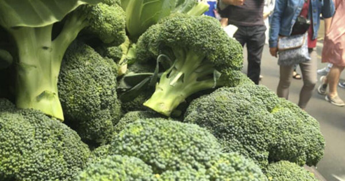 Broccoli compound could offer obese diabetics a drugfree way to slash