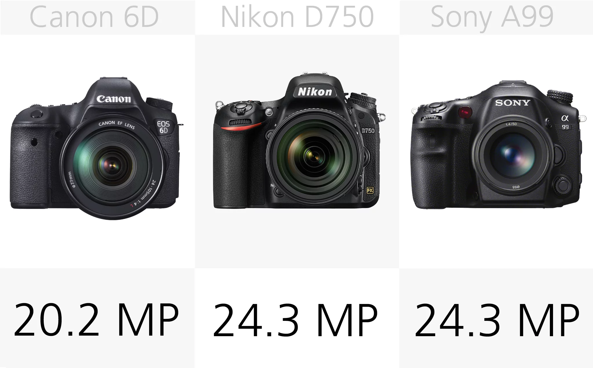 Most of the cameras in our comparison come in around 20 to 24-megapixels