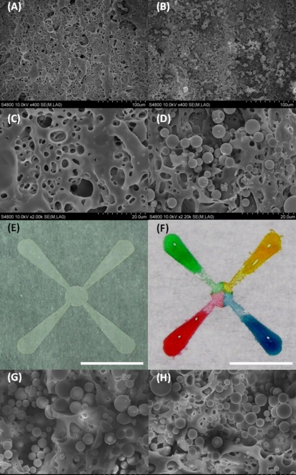 Researchers have created a new method of creating lab-on-a-chip devices, using store-bought wax paper (Photo: Birck Nanotechnology Center, Purdue University)