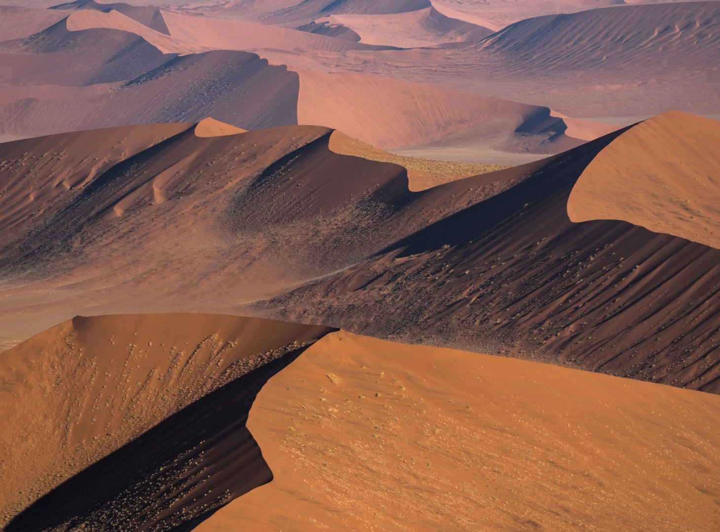 Namib desert