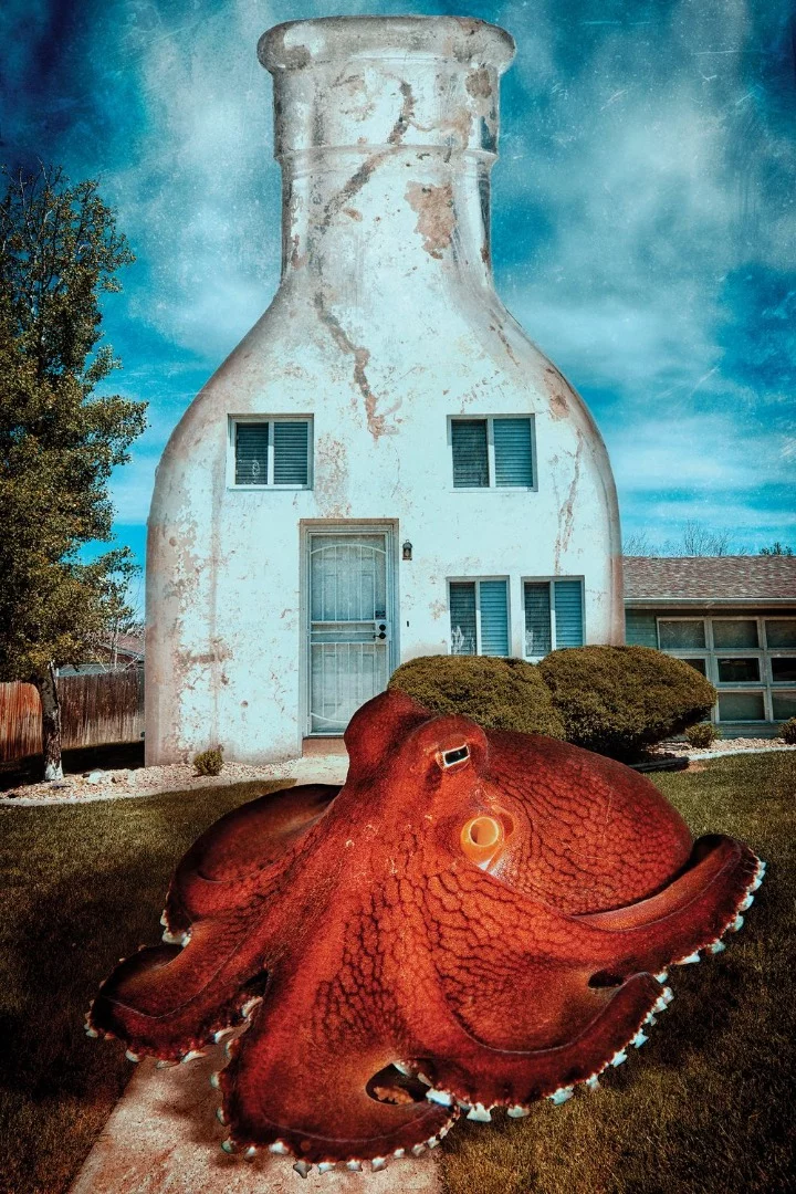 First place in the Conceptual category is a surreal collage featuring a coconut octopus