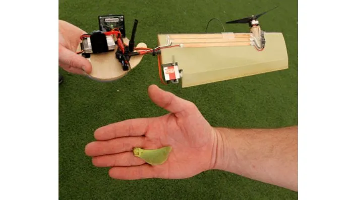 Lockheed Martin's Samarai Flyer monocopter micro air vehicle, alongside a maple seed