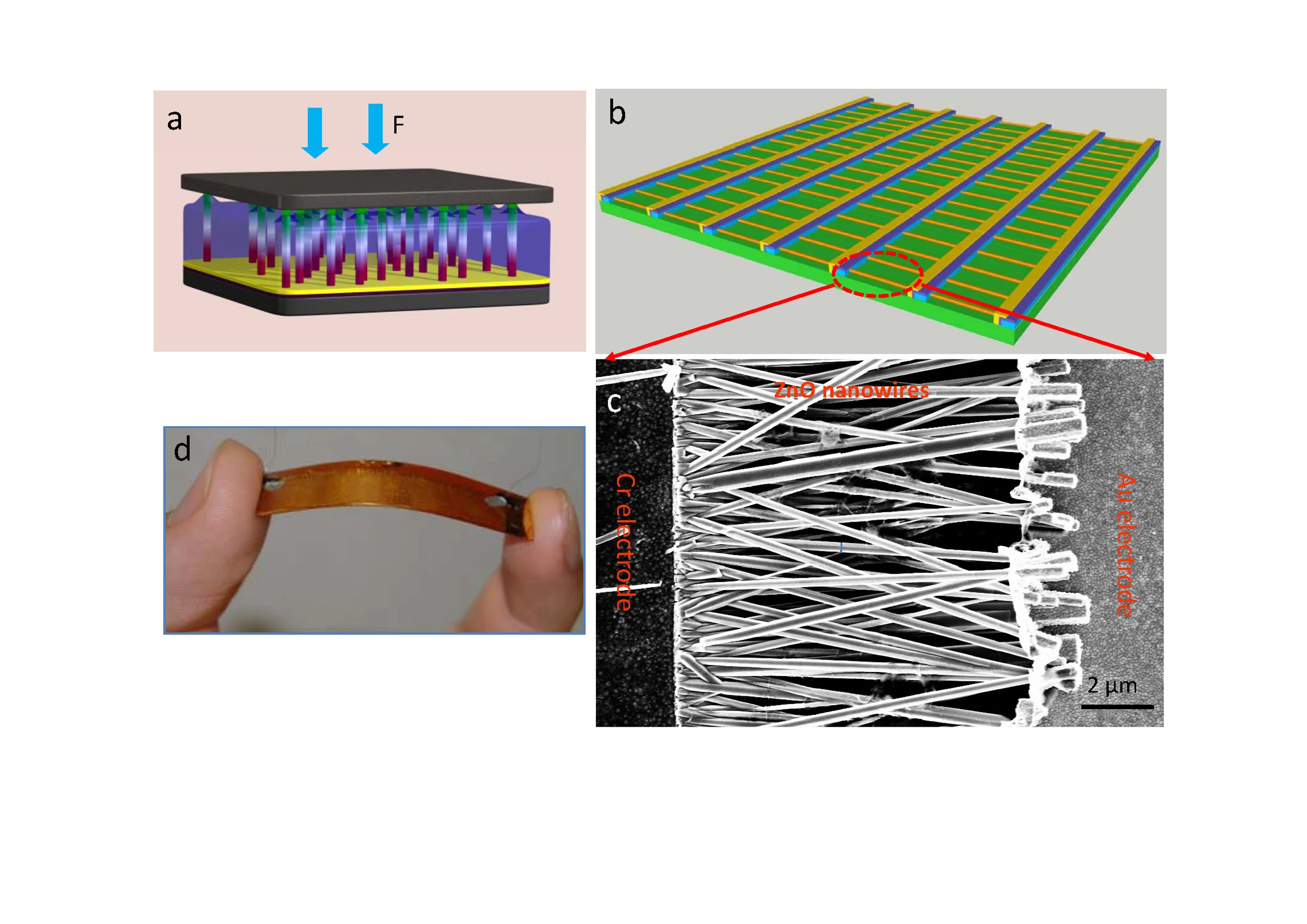 (a) Fabrication of a vertical-nanowire integrated nanogenerator (VING), (b) Design of a lateral-nannowire integrated nanogenerator (LING) array, (c) Scanning electron microscope image of a row of laterally-grown zinc oxide nanowire arrays, and (d) Image of the LING structure.