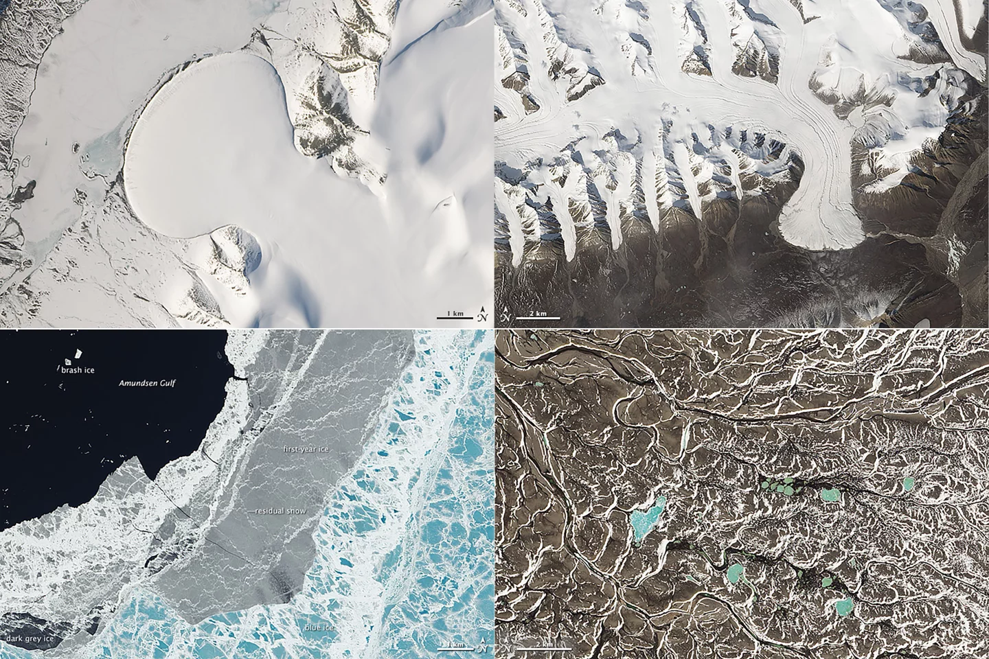 North Greenland’s Elephant Foot Glacier (top left), Canada’s Ellesmere Island glaciers (top right), the sea ice in the Amundsen Gulf (bottom left) and chains of lakes in the Northwest Territories (bottom right) (Image: NASA Earth Observatory)