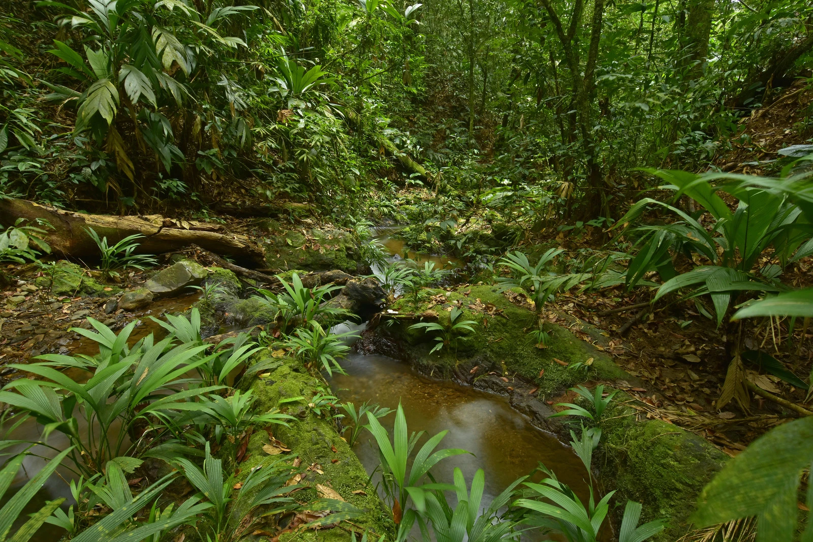 The expedition area is home to a range of freshwater habitats
