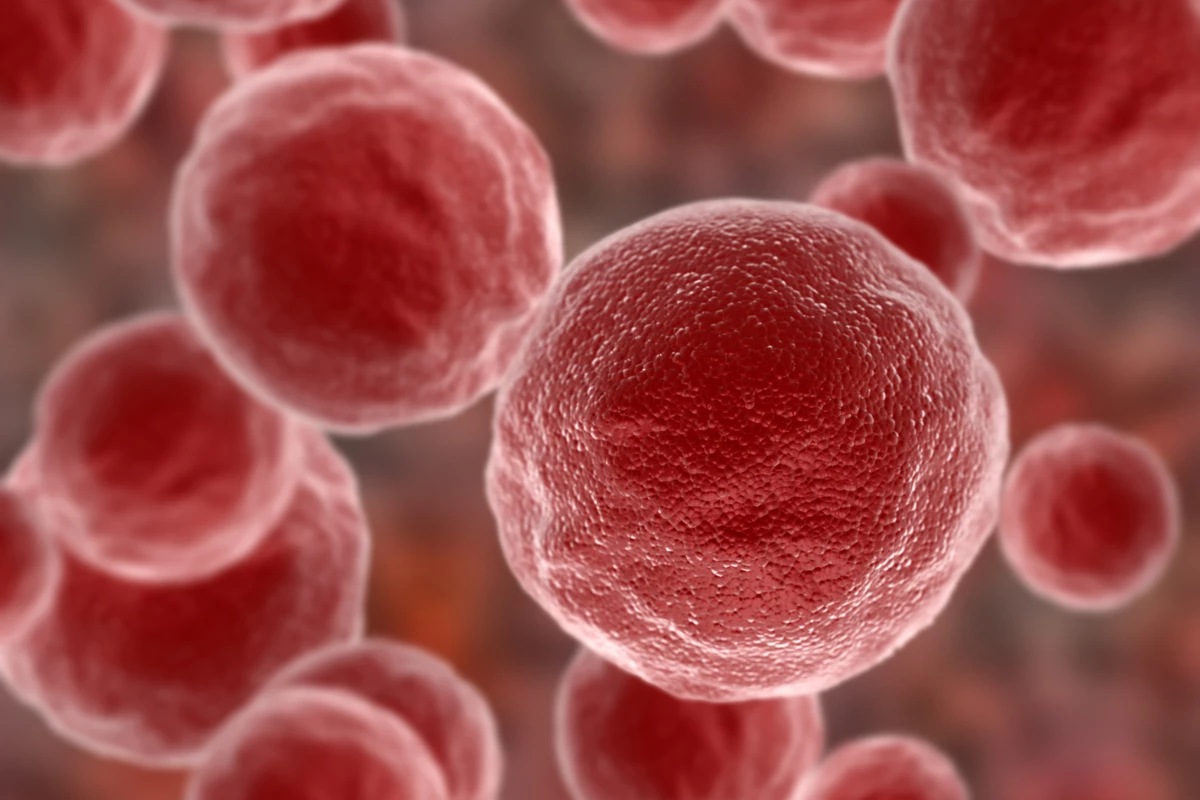 Researchers have identified a new mechanism cancer uses to hide from the immune system – and how to beat it