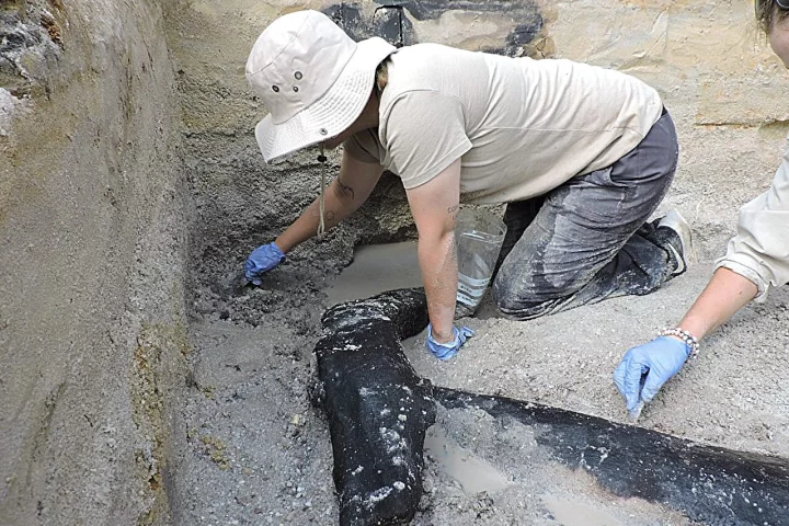 Archaeologists excavating the oldest known wooden structure, dating back around 476,000 years