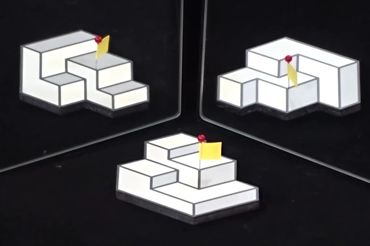 The winning entry in this year's Best Illusion of the Year Contest presents a 2D picture that has three different perceived structures depending on the viewpoint
