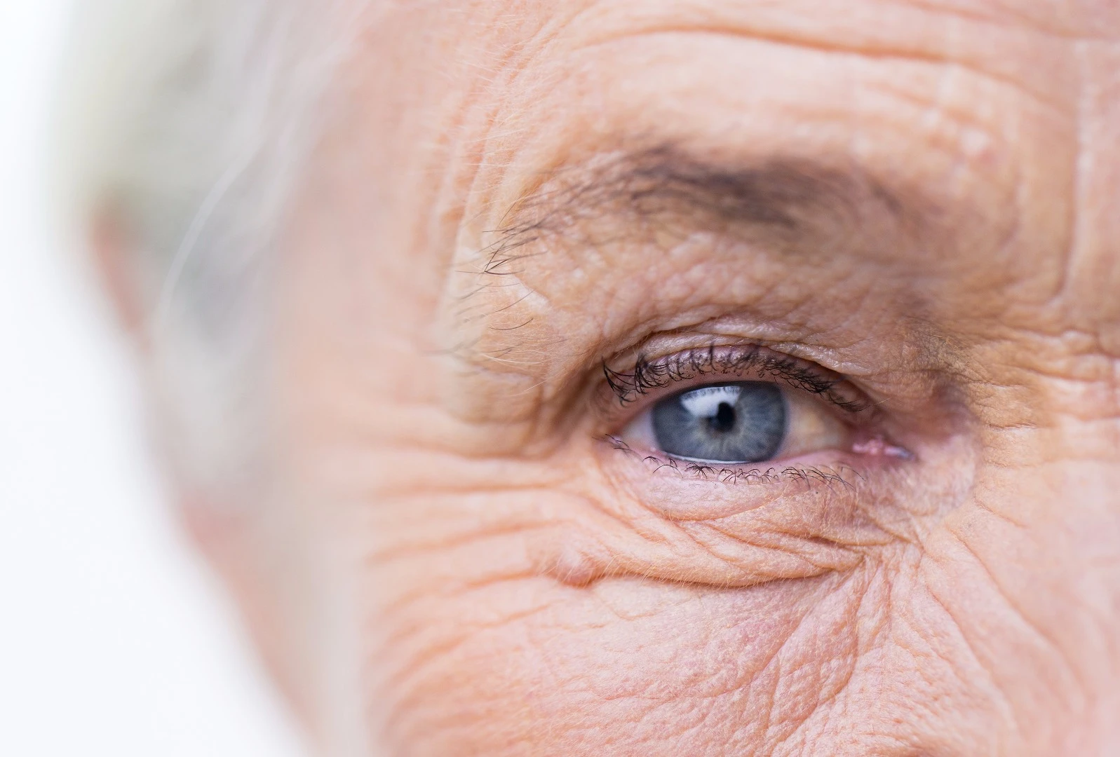 Researchers have discovered that our innate holistic processing abilities are impaired by Alzheimer's disease