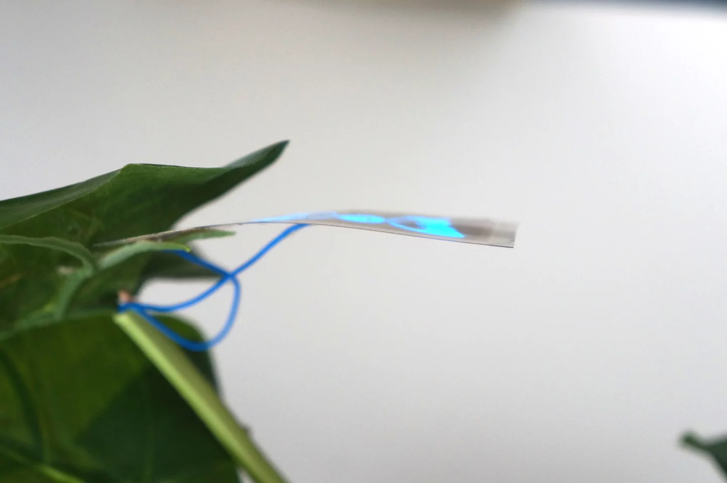 The DIY display is less than a millimeter thick (Image credit: Saarland University)