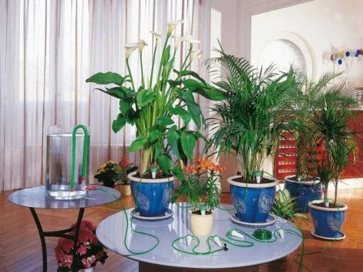 Aquasolo watering system