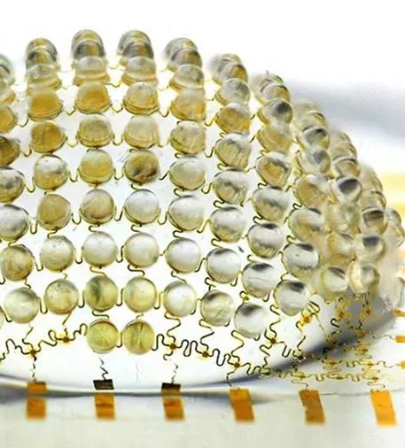 The camera is made using a hemispherical array of 180 tiny focusing lenses