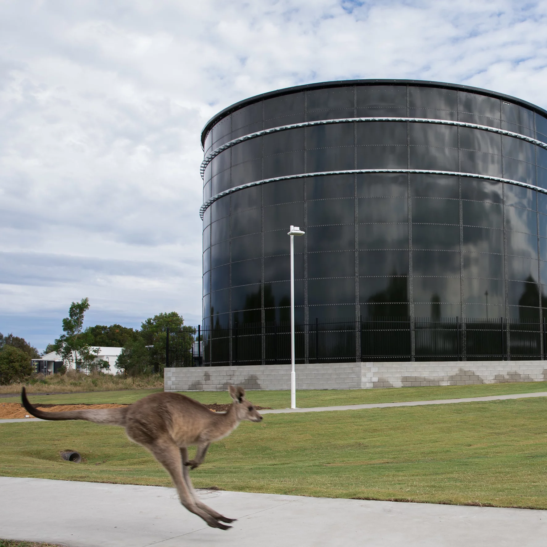 The University of the Sunshine Coast in northern Australia is on a mission to become completely carbon neutral by 2025