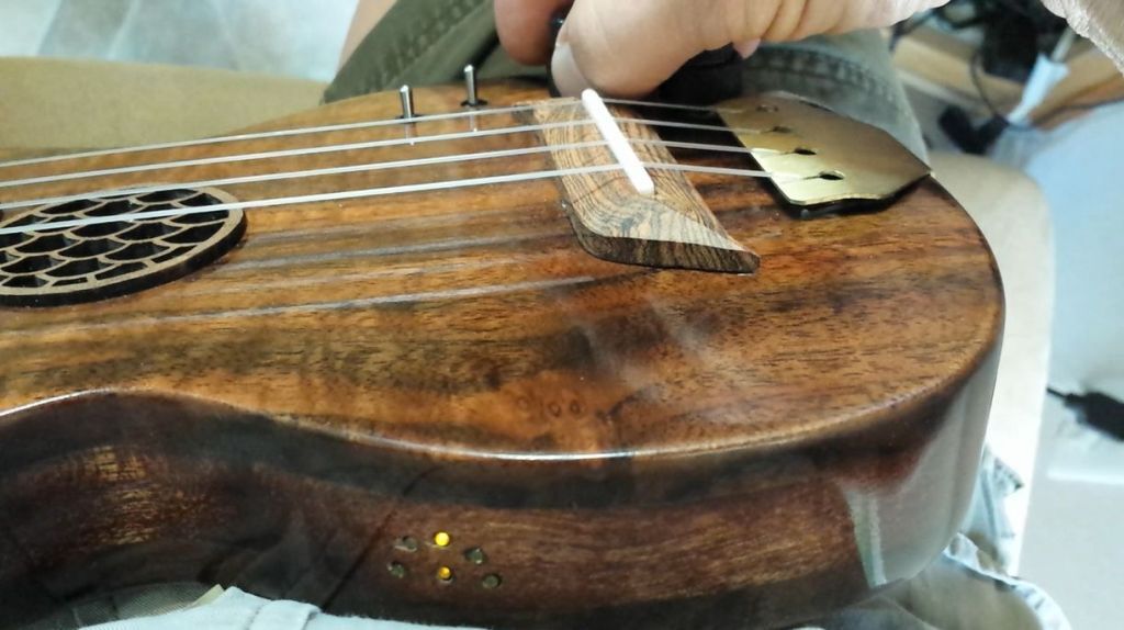 Vibrations from the nylon strings are picked up by a piezo under saddle pickup at the bridge