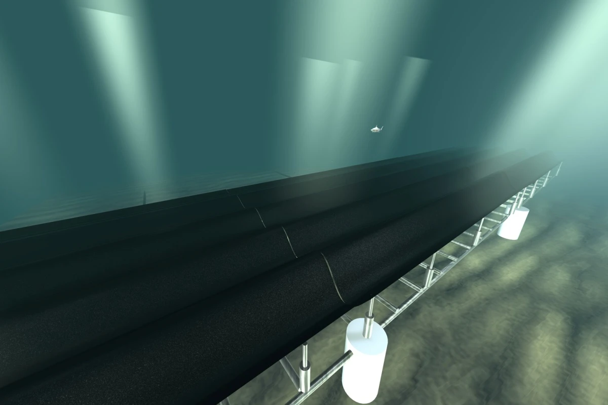 A rubber mat forms the "carpet," and sits atop a grid of hydraulic actuators, cylinders and pumps
