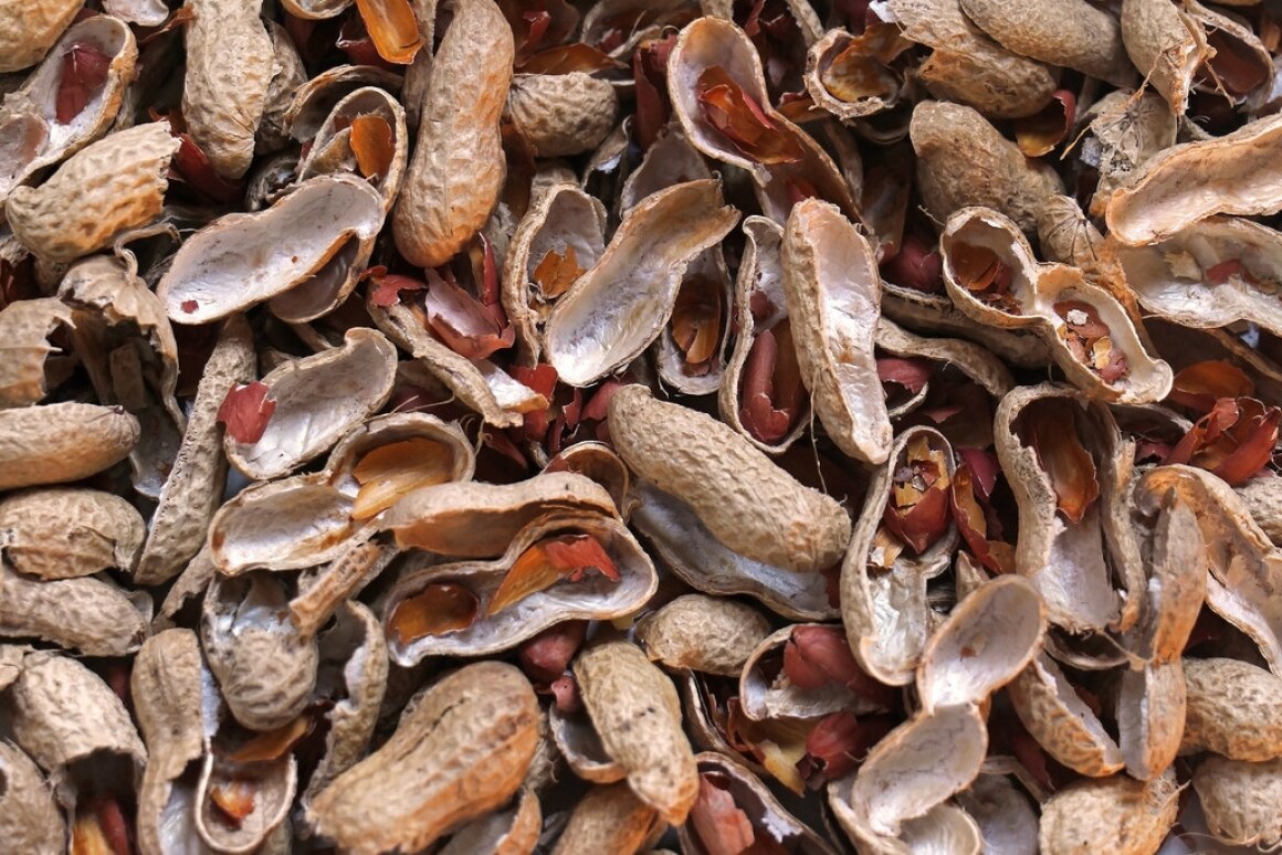 Image result for peanut shells compost