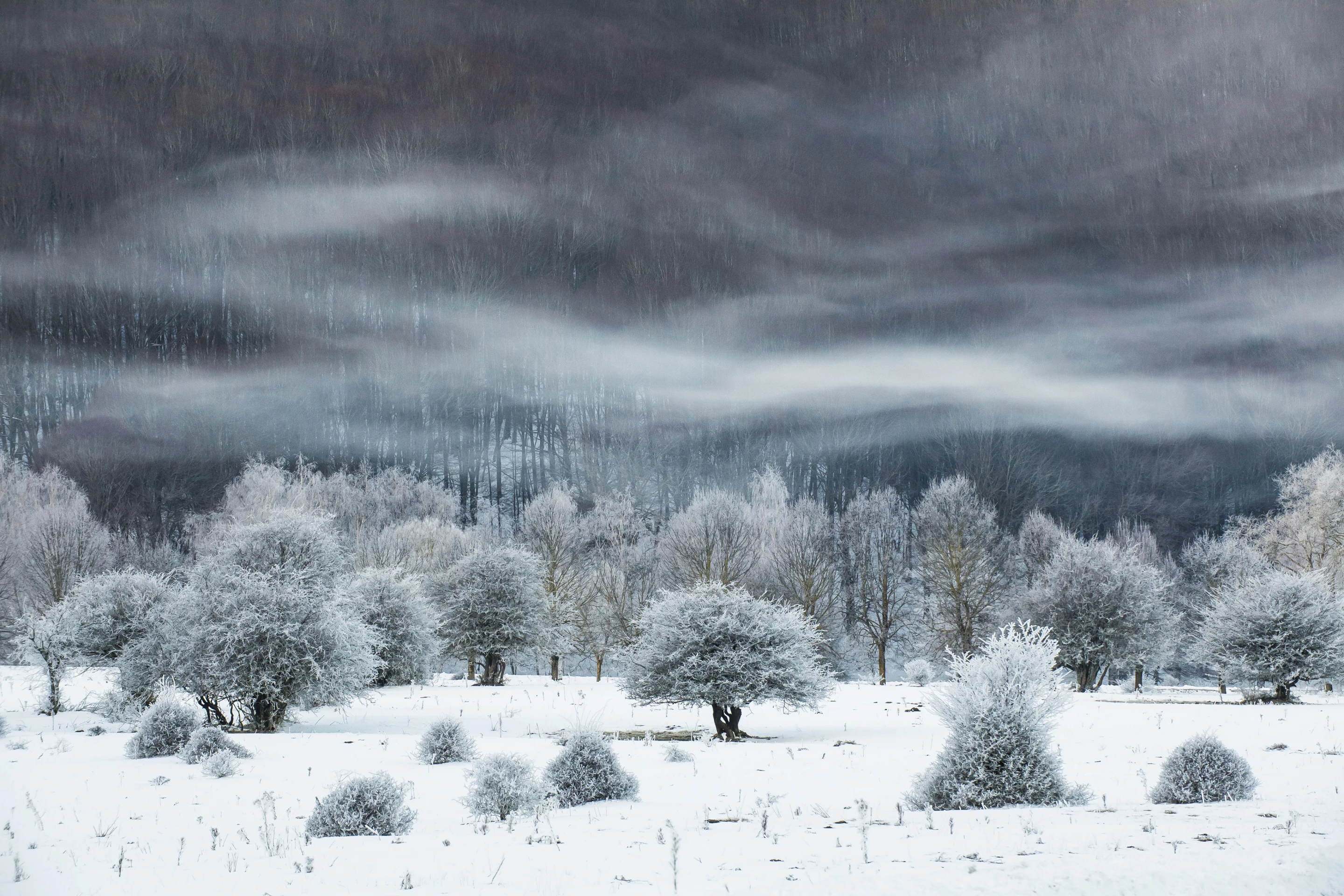 The Snow and Ice Award. The Winter of the Lake. Lago Laceno, Italy