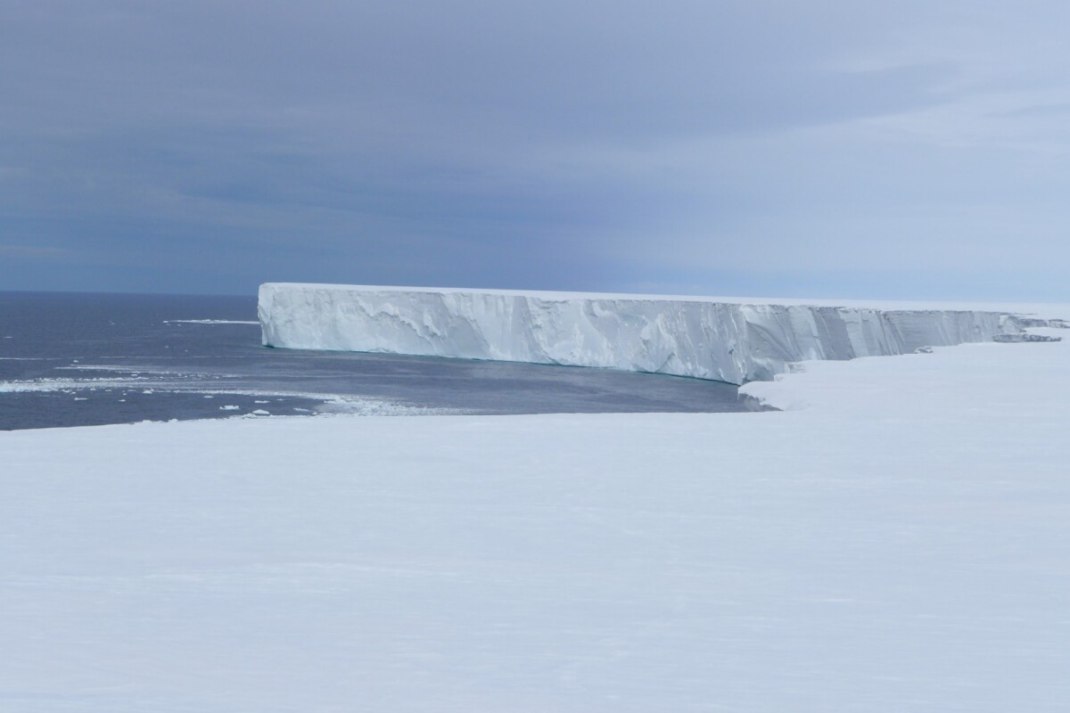 The wall of the Ross Ice Shelf stretches for a staggering 600 km (373 miles) in length